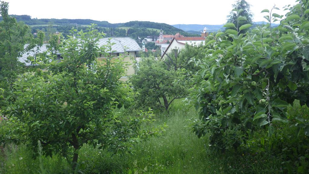 Ubytovani U Dolanskych Český Krumlov Buitenkant foto